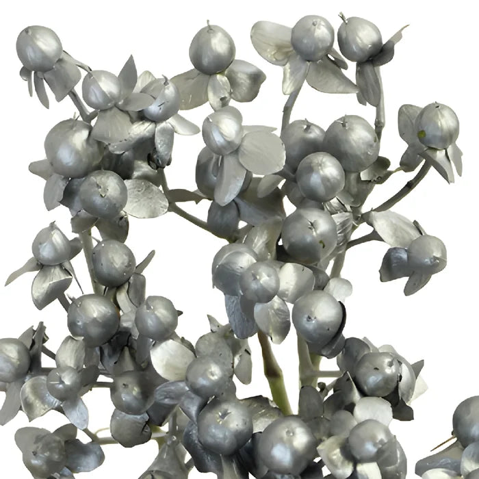 Silver and Gold Tinted Mixed Hypericum Berries
