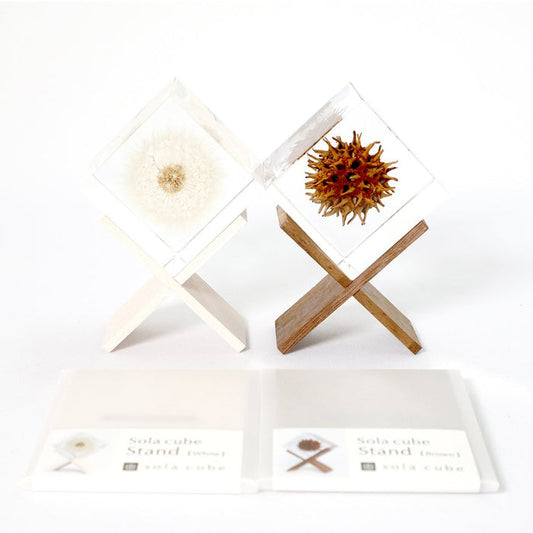 White wooden square cube stand with glass top and spherical flower decor