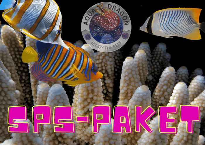 SPS-PAKET