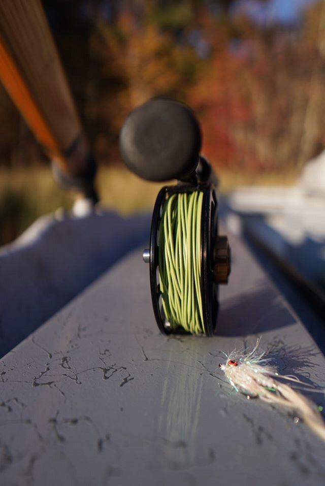 Bottom view of a fly line reel that is lined with Streamer Sink Tip 10.