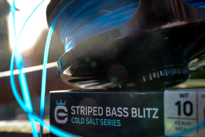 Striped Bass Blitz Box with a fly reel sitting on top of it